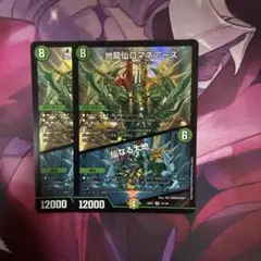地龍仙ロマネアース 2枚セット