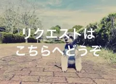 【オーダー用】一時的に置きます