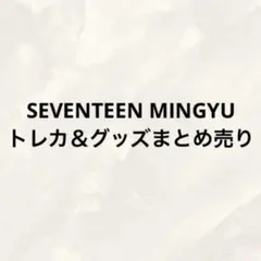 SEVENTEEN MINGYU トレカ＆グッズまとめ売り