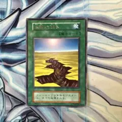 遊戯王　永遠の渇水　初期　字レア