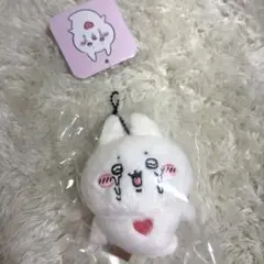 新品ナガノマーケット　ナガノキャラクターズ　 クオリオマスコット(キクラゲ〜ッ)
