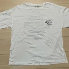 夏　ホワイト Tシャツ