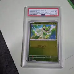 2024 ポケモンカード　ニャオハ SPRIGATITO #213