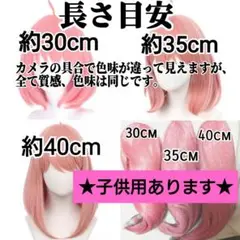 新品未使用 スパイファミリー アーニャ 耐熱ウィッグ 子供用/大人用