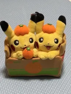 ピカチュウペアぬいぐるみ　愛媛　えひめみかん ペアピカチュウとえひめみかん ぬいぐるみ 愛媛みかん えひめ