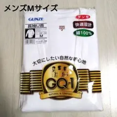 Item thumbnail for item 52db0d04-74a6-4f77-9f21-a3fd6985c79c