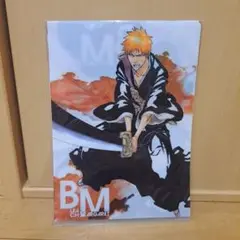 BLEACH 一護・白哉 ミニクリアファイルセット 2018新品未使用