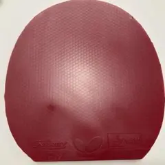 テナジー25FX レッド2.1mm