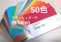 【知育玩具】カラー　フラッシュカード