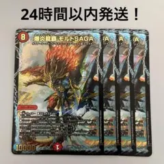 モルトsaga