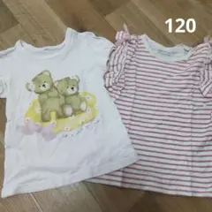 女の子 Tシャツ２枚セット120