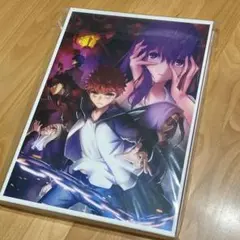 Fate stay night ヘブンズフィール 豪華版パンフレット ドラマCD