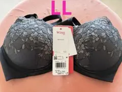 Item thumbnail for item 34f6afd5-e69c-4f1c-a75f-c580e49bbc65