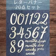 木製 レターバナー 20点セット 月齢フォト記念写真 出産祝い 成長記録 数字
