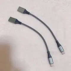 USB-C 変換アダプタ　2本