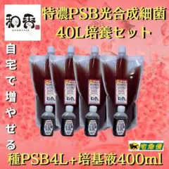 光合成細菌PSB40L用培養セット 関連:めだか金魚ミジンコクロレラAI