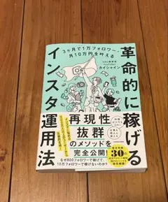 革命的に稼げるインスタ運用法