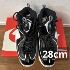 【美品】NIKE エア　ペニー2 28cm