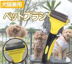 Item thumbnail for item 0411bcf2-d1a8-4836-9c82-4188bd22d34f