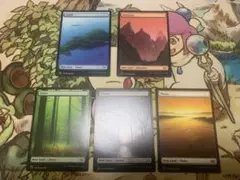 MTG 基本土地　5種　2XM 英語版
