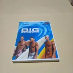 送料込 ビッグ ウェンズデー DVD サーフィン 映画