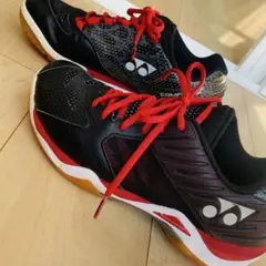 【美品】ヨネックスバドミントンシューズ コンフォートZ パワークッション 25㎝