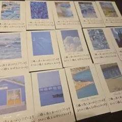手書きサンキューカードサンクスカード【フォトブルー】50枚