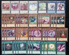 遊戯王　黒薔薇の破滅竜　ガーデンローズメイデン　ブラックローズドラゴン　46枚