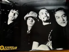 ブルーハーツ　ポスター3枚
