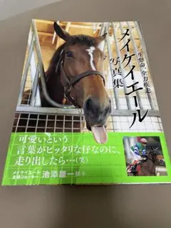 メイケイエール 写真集