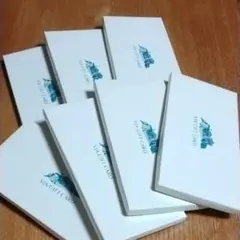 VISAギフトケース