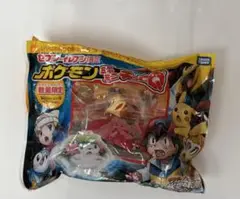 ポケモン ミニミニチョロQ ヒコザル 数量限定