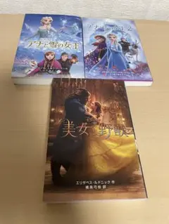 ディズニー アナと雪の女王・美女と野獣 3冊セット