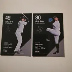 千葉ロッテマリーンズ プレイヤーズシート限定トレカ 立松由宇・廣畑敦也