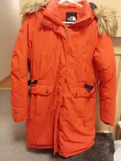 Item thumbnail for item 67801665-56c7-4c7a-b87a-53ac0980c85f