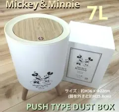 ミッキー＆ミニー プッシュタイプ ダストボックス ゴミ箱 7L