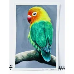 【原画】コガネメキシインコ　水彩アクリル画　ポストカード　一点物