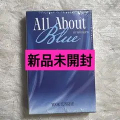 BTOB ソンジェ All about blue トレカ Kiwee アルバム