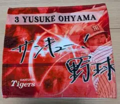阪神タイガース 大山悠輔選手