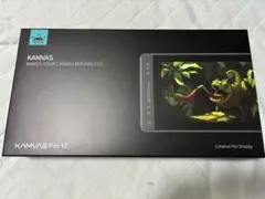 HUION 液タブ Kamvas Pro12