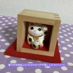 福猫(引っ込み思案な猫)&ポジティブ子猫