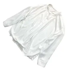 美品 ANAYI アナイ ブラウス シースルー レディース 38 M ホワイト白