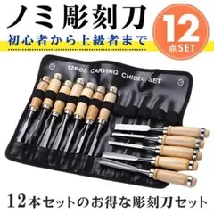 彫刻刀 ノミ 12本 セット カービングナイフ 木工 工作 DIY 木彫り 趣味