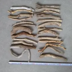★河川の自然流木ネジレクール 約25本セット 様々な長さ
