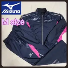 Item thumbnail for item 7e2c1358-5539-4f09-b505-7c80c7bc9334