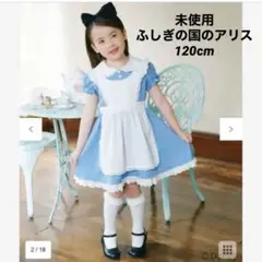 未使用ふしぎの国のアリスワンピースセット サイズ120cm¥6990