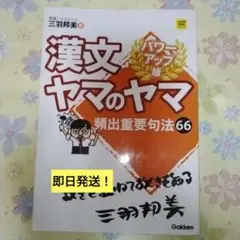 漢文ヤマのヤマ
