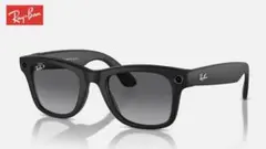 Ray-Ban Wayfarer RW4006 マットブラック 016