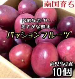 2565-627] 3.5kg 冷凍桑の実 京都丹波産 - メルカリ