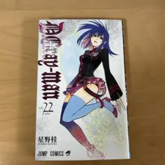 【美品】D.Gray-man ディー・グレイマン　22 星野　桂